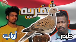 حليم تاج السر amp أواب رابر  قمريه Haleem Taj alsir amp awabtherappr لاللحرب [upl. by Leirbaj]