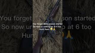 Dove season is already here FINALLYdoveseasonfypシ゚ hunting doves [upl. by Juno]