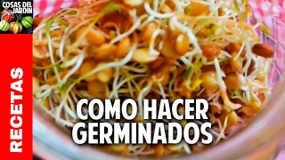 Cómo hacer germinados en 7 días cosasdeljardin [upl. by Neo]