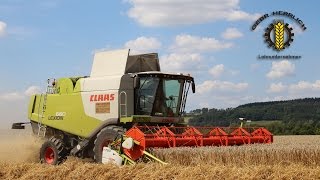 Lohnunternehmen GEBR HERRLICH  Weizen dreschen mit Claas Lexion 660 [upl. by Orms]