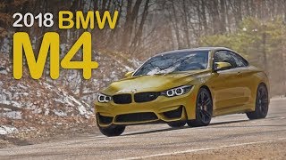 2018 BMW M4 Review Curbed with Craig Cole [upl. by Ragland930]