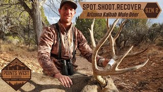 AZ KAIBAB MULE DEER  Stud Buck Down [upl. by Mossman]