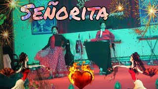 Señorita dance cover by Dr Sushmita amp Dr Promita 172 SFTC BARD [upl. by Tega]