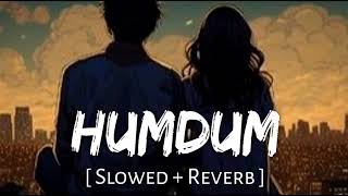 Humdum Slowed  Reverb  Vishal Mishra  Savi  FM LoFI [upl. by Werna779]