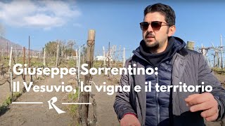 Giuseppe Sorrentino Vesuvio  La vigna e il territorio [upl. by Hplar]