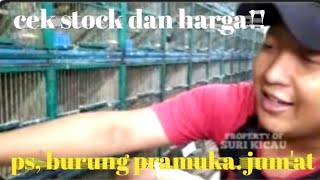 cek stock dan harga ps burung pramuka jumat [upl. by Akim]