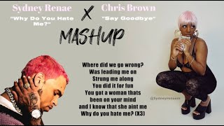 quotWhy Do You Hate Mequot  Chris Brown quotSay Goodbyequot MASHUP [upl. by Htiekal]