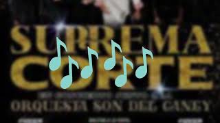 Salsa con Letra  Escombros  La Suprema Corte By Fenixlamp [upl. by Orutra]