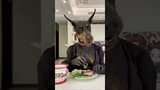 Dog eat meat like a human animals [upl. by Courtenay]