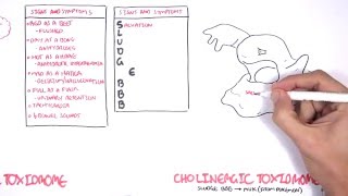 Cholinergic and Anticholinergic Toxicity Toxidrome [upl. by Etteraj]