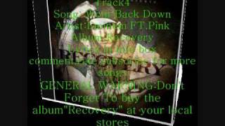 Wont Back downEminem ft pink recoveryLyricsinfo box [upl. by Nolaj]