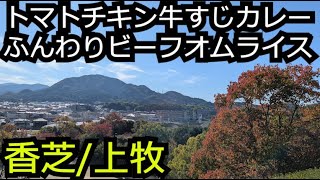 無水トマトチキン＆国産牛肉すじカレー ビーフオムライス 新規OPENベトナム料理店【奈良 香芝市上牧町】 [upl. by Ellehsyt]