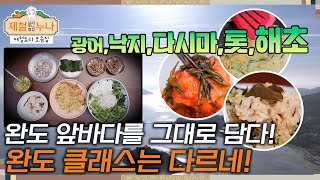 제철 요리 모음집시즌3 완도 앞바다를 그대로 담아놓다 완도 클래스는 다르네  제철누나 [upl. by Nyladnohr]