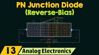 PN Junction Diode ReverseBias Condition [upl. by Asirehc]