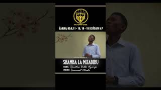 VERSE 3  SHAMBA LA MIZABIBU [upl. by Ecertal]