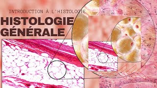 Histologie  Introduction générale partie 1 [upl. by Ethelstan]