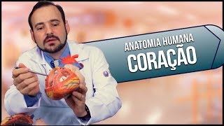 Anatomia Humana CORAÇÃO PRÁTICA [upl. by Tlevesor]