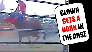 Clown gets horned by bull Equitana 2005 [upl. by Pine125]