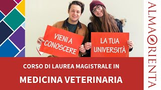 Laurea Magistrale a Ciclo Unico in Medicina veterinaria [upl. by Leahkim]