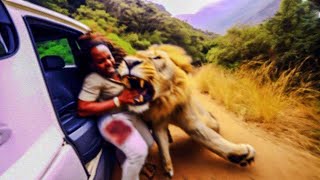 Animals Attacking Humans Caught On Camera [upl. by Handbook]