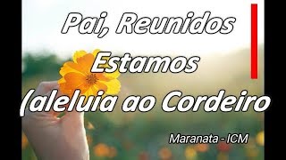 Pai Reunidos Estamos Aleluia ao Cordeiro HQ  Maranata ICM [upl. by Ligetti747]