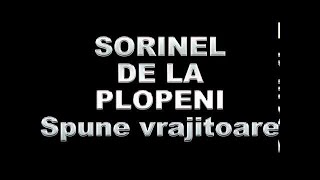 SORINEL DE LA PLOPENI SPUNE VRAJITOARE [upl. by Lebama762]