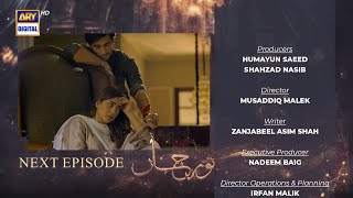 Noor Jahan Episode 14  Teaser  ARY Digital [upl. by Eob264]