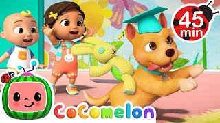 Best of BINGO  Doggie Daycare amp Puppy Play 🐶  MORE CoComelon Nursery Rhymes amp Songs [upl. by Yonina]