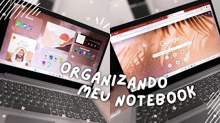 ✦ Organizei meu NOTEBOOK estilo AESTHETIC  Andressa Veras [upl. by Jacquelyn410]