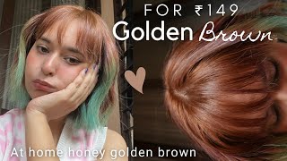 How To Color Hair At Home Under Rs149  Easy Golden Brown Hair Color  Garnier Golden Brown Color [upl. by Ayikan]