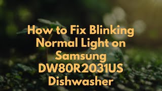 How to Fix Blinking Normal Light on Samsung DW80R2031US Dishwasher [upl. by Aidahs240]