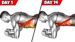 Lose Belly Fat Fast 8Min Plank Challenge to get 6 PACK ABS [upl. by Repsac138]