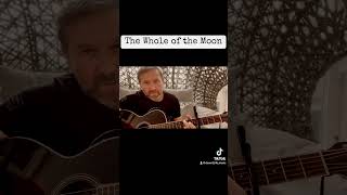 The Waterboys  The whole of the moon cover acoustic acousticcover [upl. by Enitsua366]