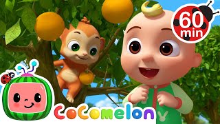 Grow Your Fruit Song 🍎🍊  🌈 CoComelon Sing Along Songs 🌈  Preschool Learning  Moonbug Tiny TV [upl. by Ahsirtal]