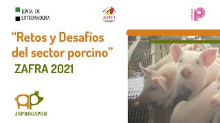 “Retos y Desafíos del sector porcino” Zafra 2021 [upl. by Nevart]