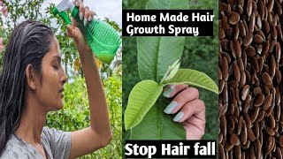 How To Make Hair Spray At HomeHome Made Hair Growth Spray [upl. by Adler]