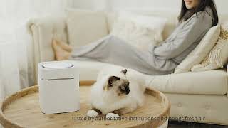 PURA AIR MAGICUBE Smart Odour Eliminator [upl. by Leahciam]