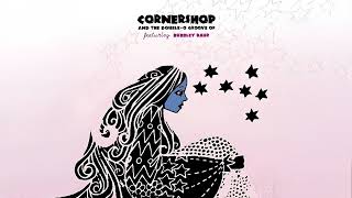 Cornershop  Natch Instrumental [upl. by Fara]