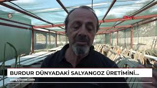 BURDUR Dünyadaki salyangoz üretiminin yüzde 70i Türkiyede [upl. by Rediah]