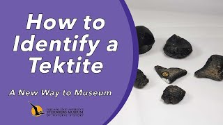 How to Identify a Tektite  A New Way to Museum [upl. by Nessy807]