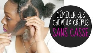 AFRO HAIR  Déméler ses cheveux crépus sans casse [upl. by Drarehs]