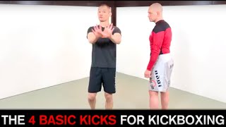 The 4 Basic Kicks For Kickboxing [upl. by Margreta]