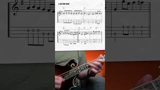 quotRed Wingquot Mandolin Lesson shorts [upl. by Bolte150]