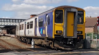 Trains at Grimsby Town Garden Street amp Pasture Street Crossings 16082024 [upl. by Cristine669]