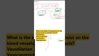 The effect of propranolol on the blood vessels [upl. by Arraes]