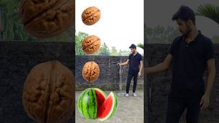 Rounding walnuts to Grapes Mango lichi amp Watermelon  Fruits names magic video [upl. by Abdu712]