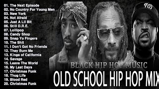 OLD SCHOOL HIP HOP MIX 🔥🔥🔥 Snoop Dogg Dr Dre Eminem The Game 50 Cent 2PAC DMX Lil Jon [upl. by Nancy748]