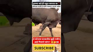 🧐कोणत्या काळातील कुट्टी मशीन आहे मित्रांनो🤔👀😯farmingshortvideosviralshortsRoyalशेतकरीशेतकरीbran [upl. by England816]