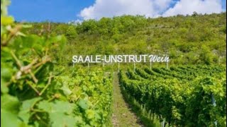 Saale Weinmeile 🍷2022 [upl. by Pope]