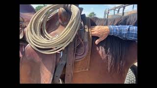 Saddling a horse with ease [upl. by Yee]